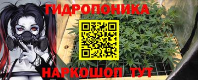 прущие крисы Краснознаменск