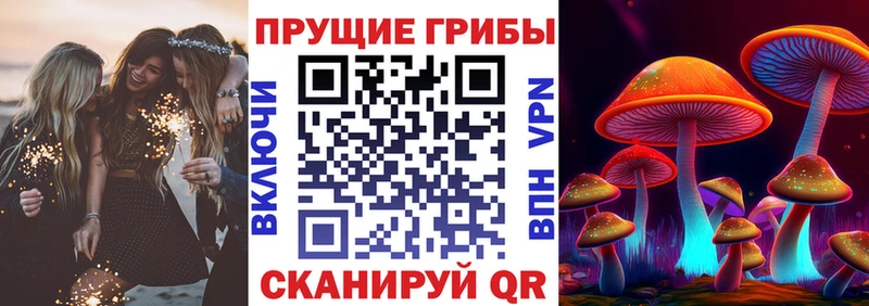 Галлюциногенные грибы MAGIC MUSHROOMS  Ейск 