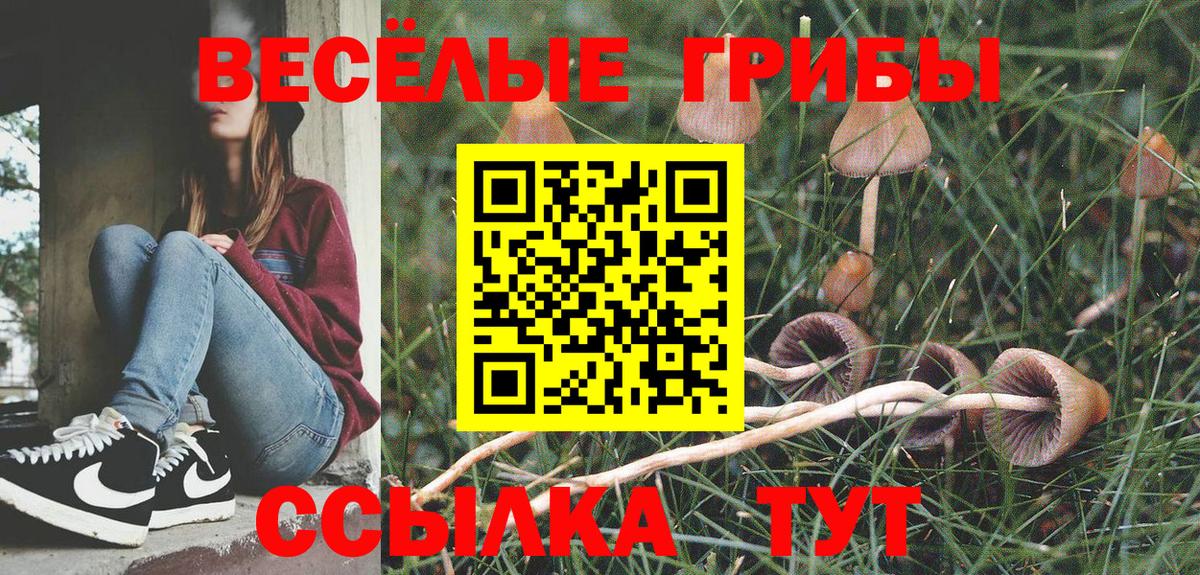 Псилоцибиновые грибы Cubensis  купить   Ейск  Вход с VPN 