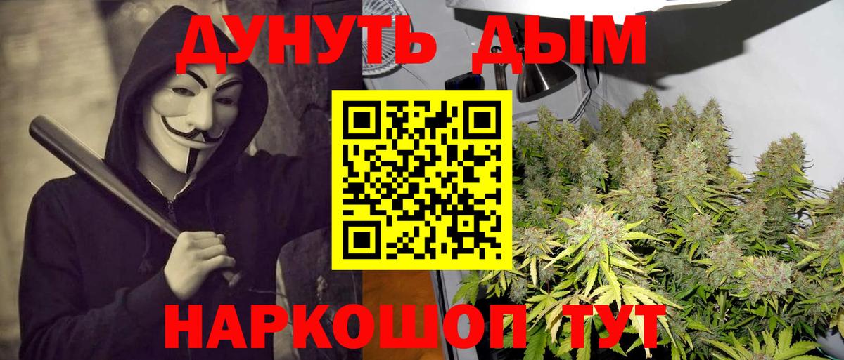 Конопля ГИДРОПОН  Вход с VPN  Ейск  Конопля сатива 